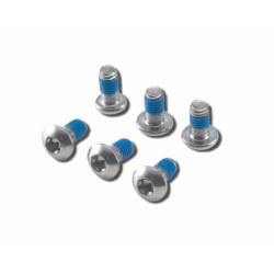 BICYCLE DISK SCREWS