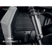 EP Ducati Streetfighter V2 Radiator Guard Set (2022+) EP Ducati Streetfighter V2 Radiator Guard Set (2022+)